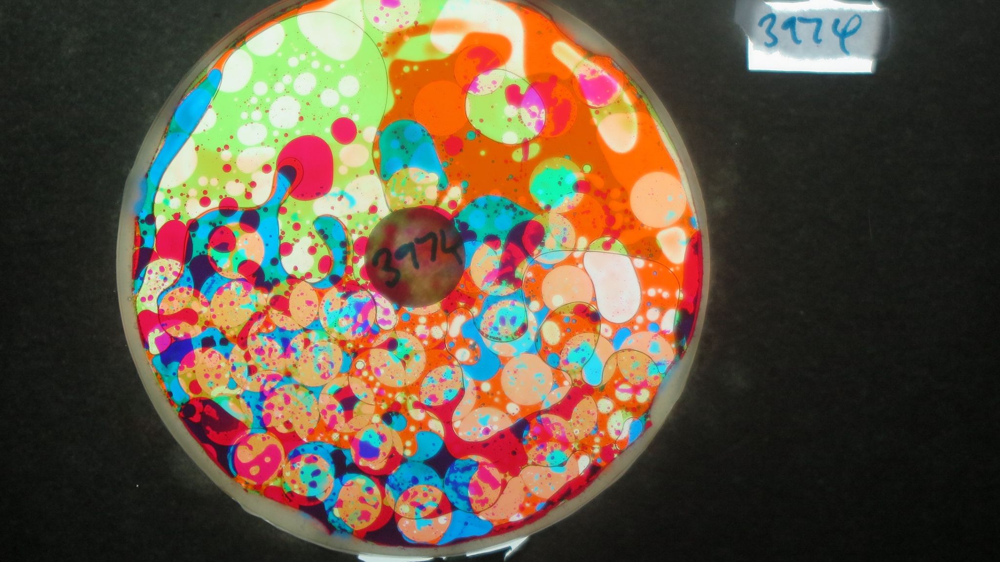 BV3974 bubble vision oil wheel